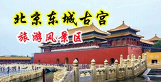 舔乳动图咪咪爱中国北京-东城古宫旅游风景区
